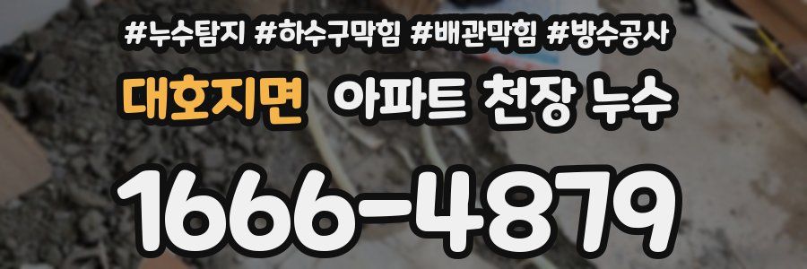 대호지면 아파트 천장 누수