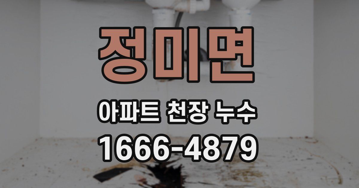 정미면 아파트 천장 누수