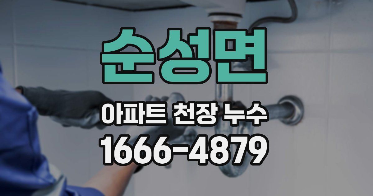 순성면 아파트 천장 누수