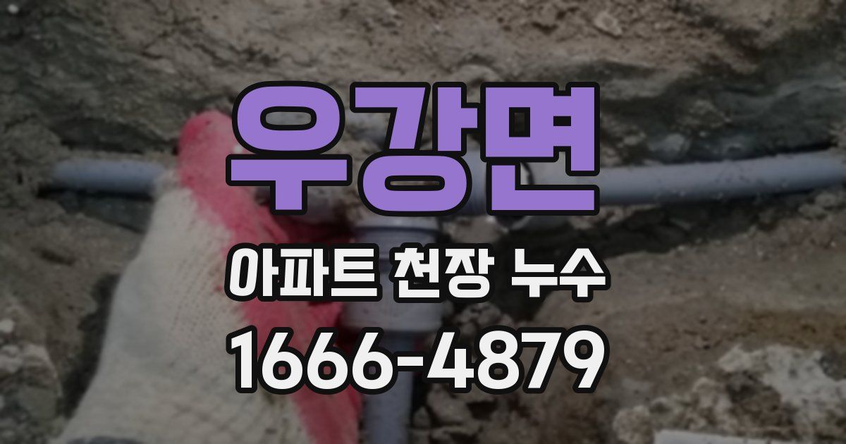 우강면 아파트 천장 누수