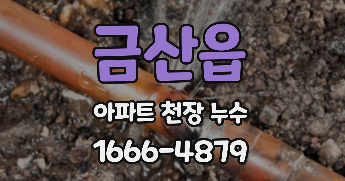 금산읍 아파트 천장 누수