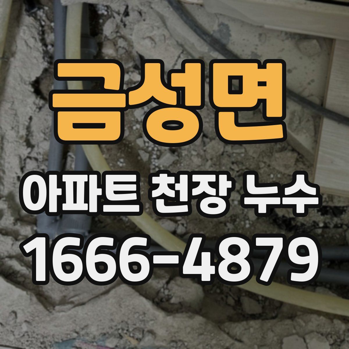 금성면 아파트 천장 누수