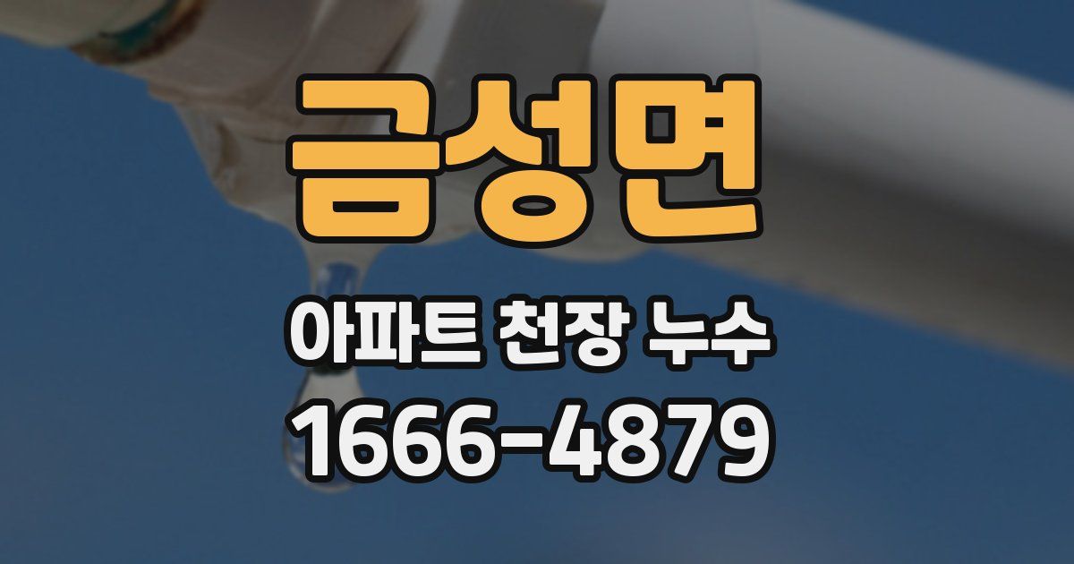 금성면 아파트 천장 누수