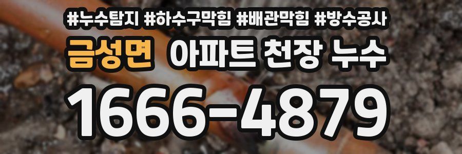 금성면 아파트 천장 누수