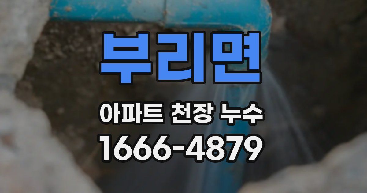 부리면 아파트 천장 누수