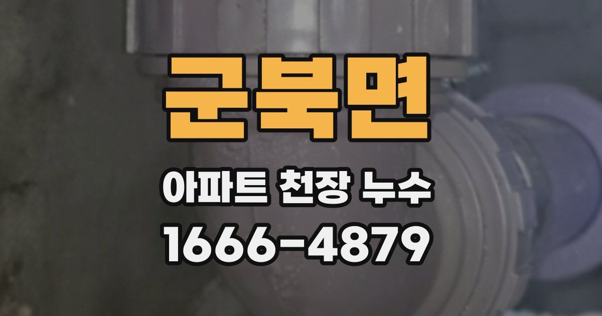 군북면 아파트 천장 누수