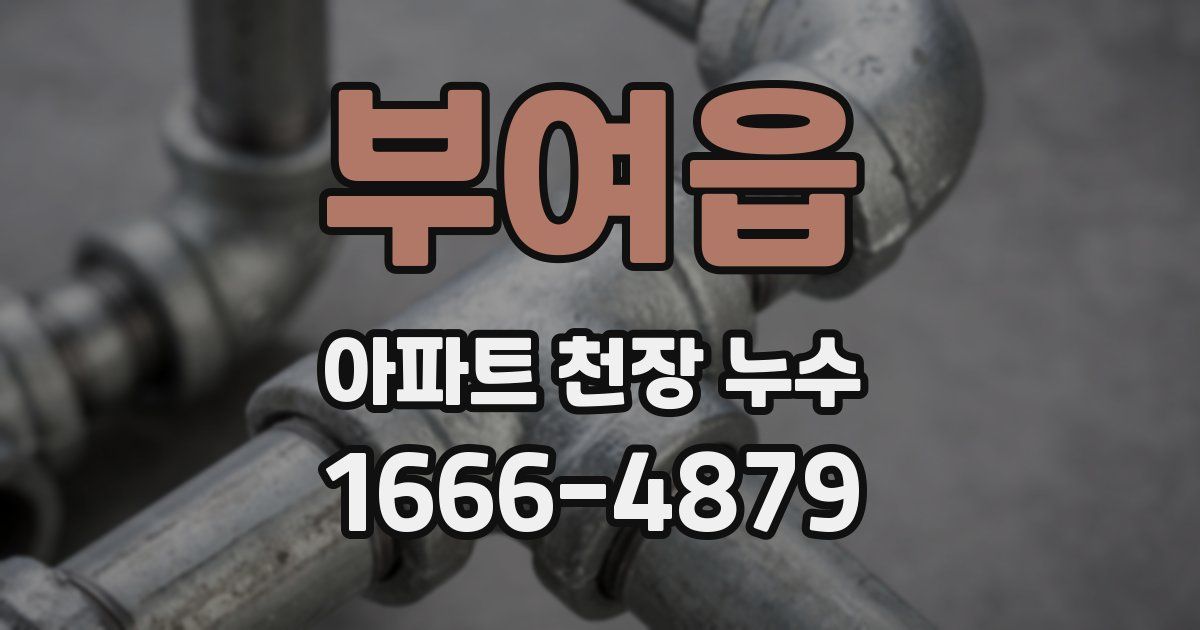 부여읍 아파트 천장 누수