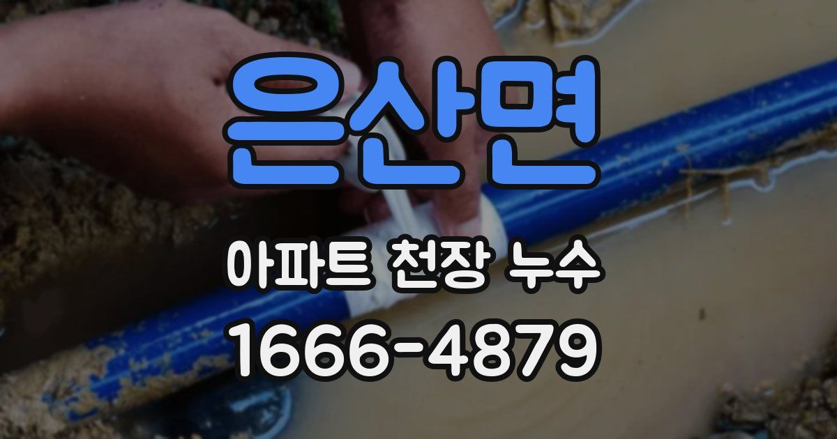 은산면 아파트 천장 누수