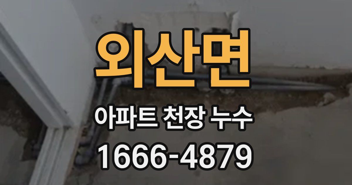 외산면 아파트 천장 누수