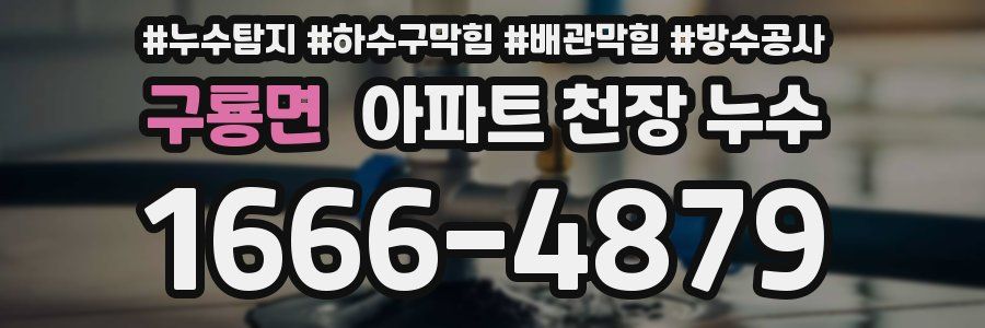 구룡면 아파트 천장 누수