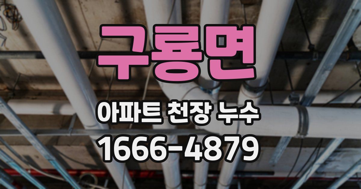 구룡면 아파트 천장 누수