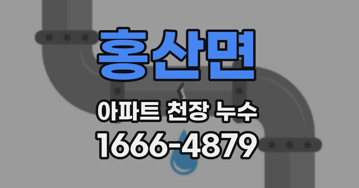 홍산면 아파트 천장 누수
