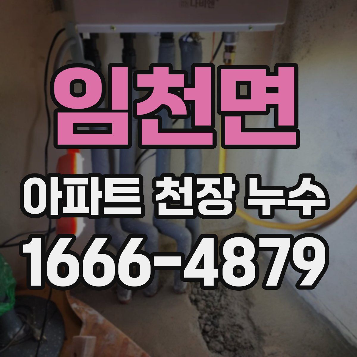 임천면 아파트 천장 누수