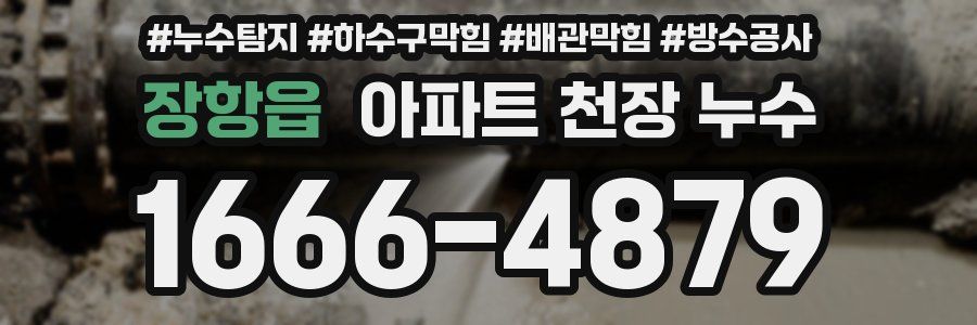 장항읍 아파트 천장 누수