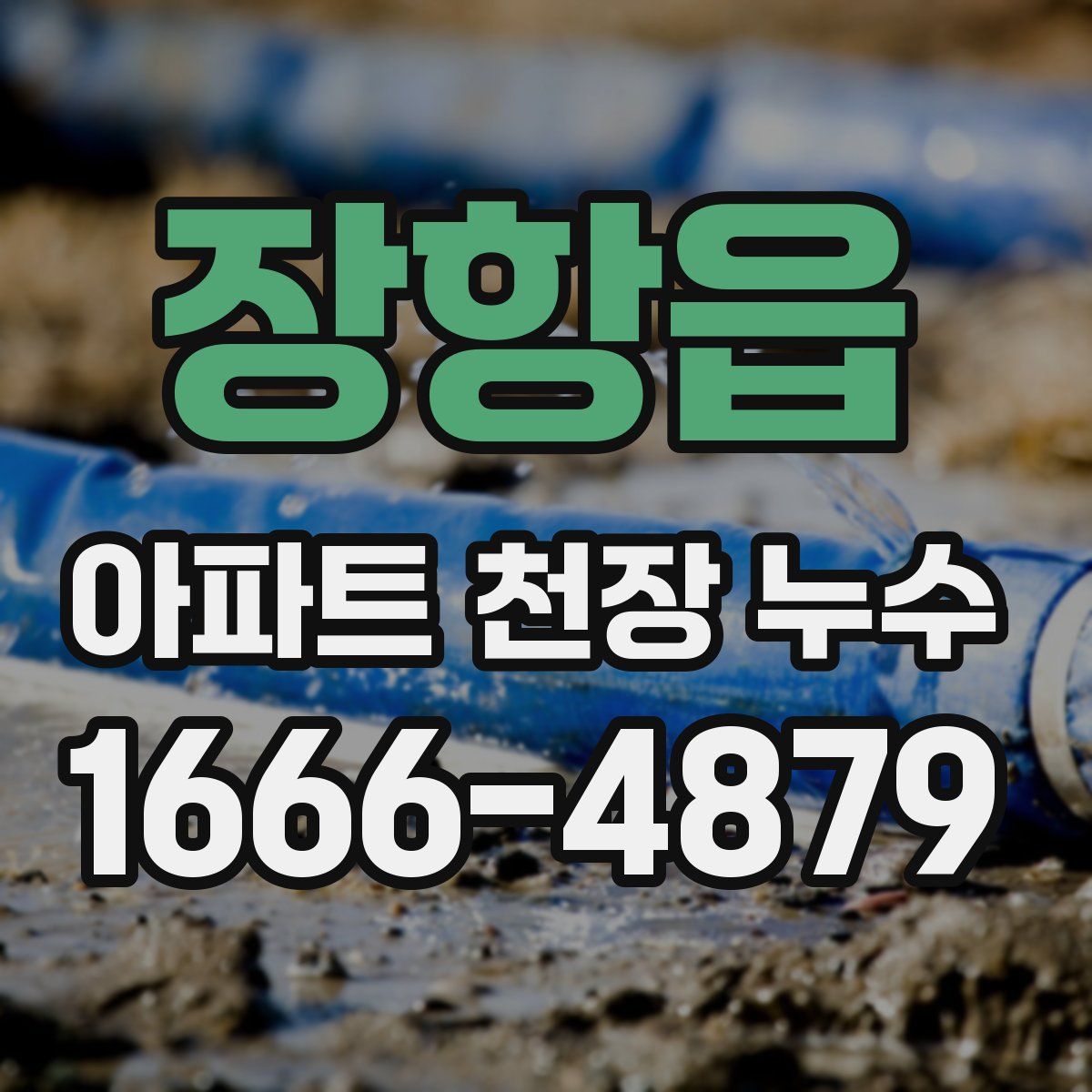 장항읍 아파트 천장 누수