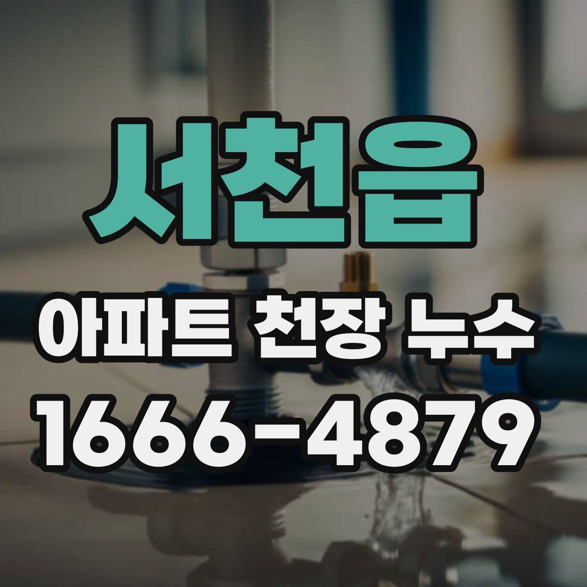 서천읍 아파트 천장 누수