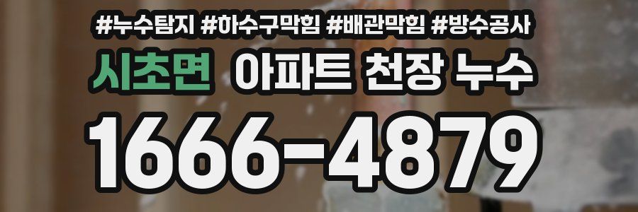시초면 아파트 천장 누수