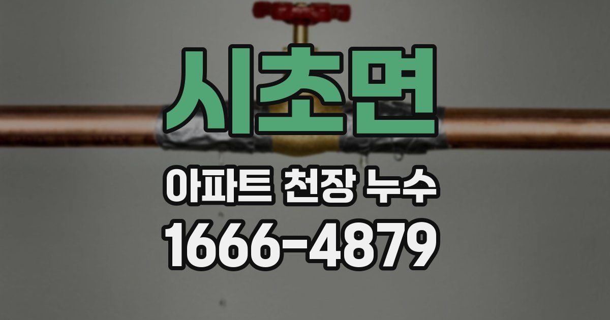 시초면 아파트 천장 누수