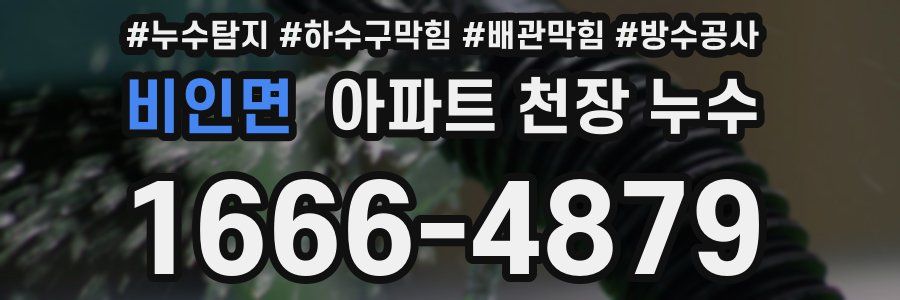비인면 아파트 천장 누수