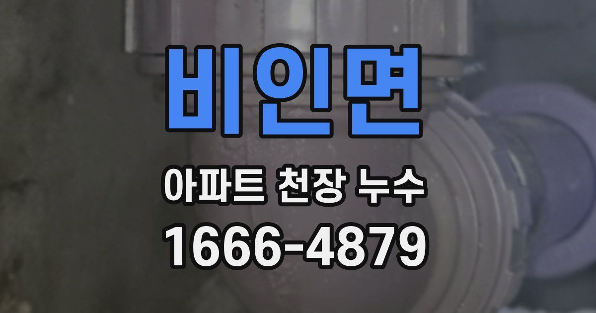 비인면 아파트 천장 누수