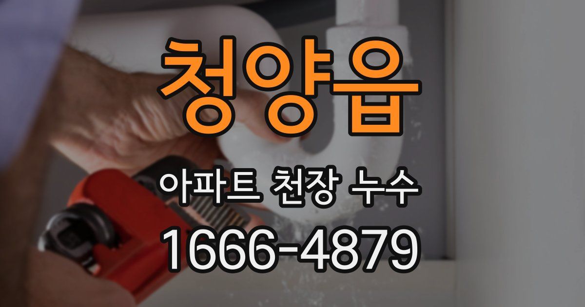 청양읍 아파트 천장 누수