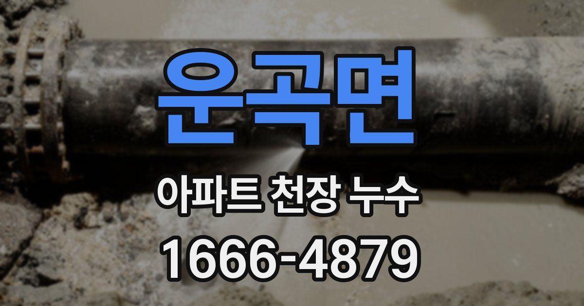 운곡면 아파트 천장 누수