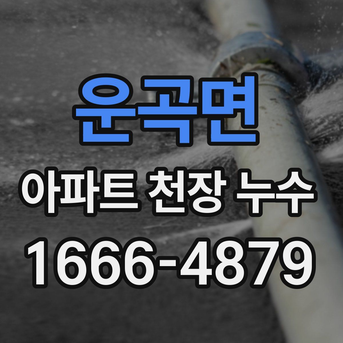 운곡면 아파트 천장 누수
