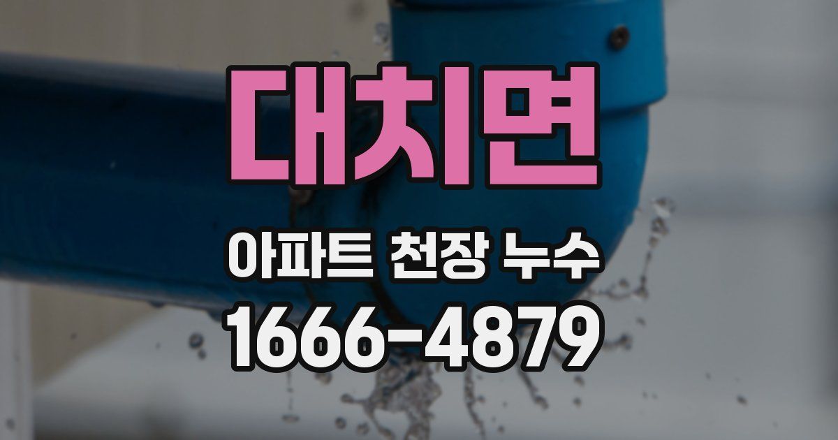 대치면 아파트 천장 누수