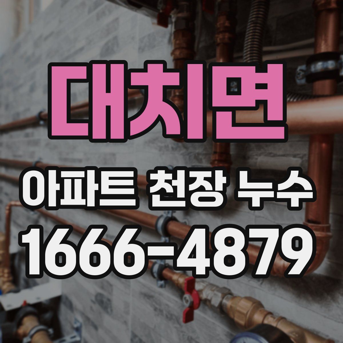 대치면 아파트 천장 누수