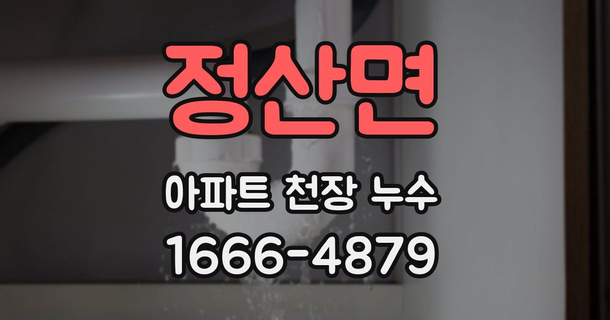 정산면 아파트 천장 누수