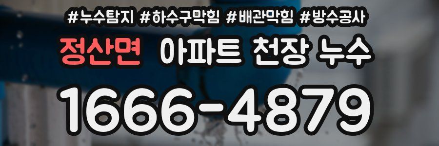 정산면 아파트 천장 누수