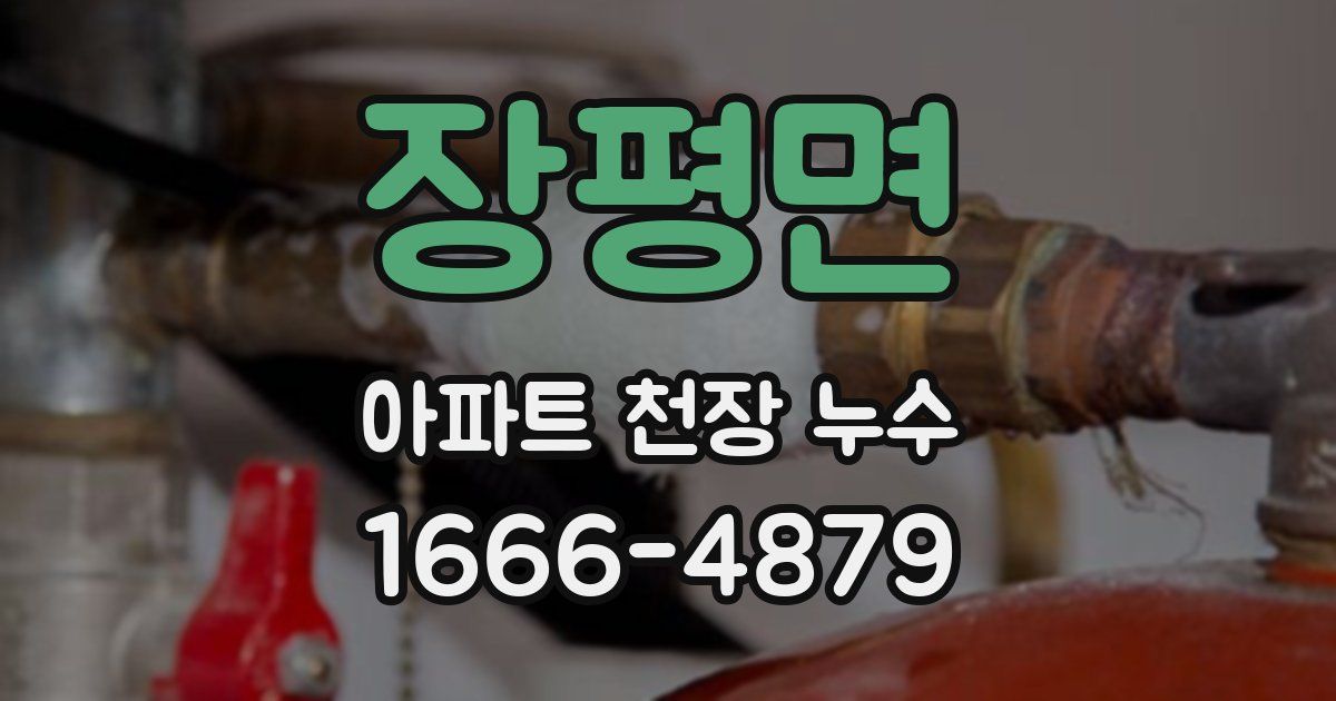 장평면 아파트 천장 누수