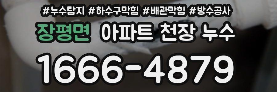 장평면 아파트 천장 누수