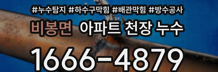비봉면 아파트 천장 누수