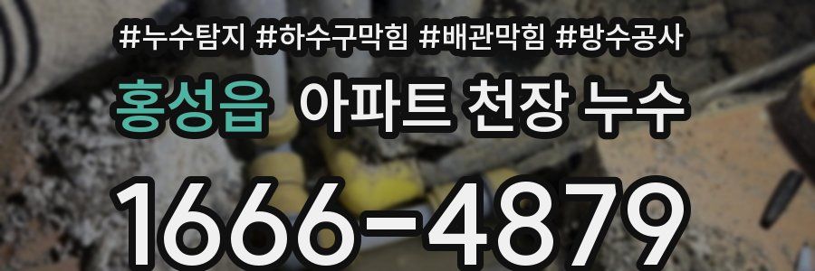 홍성읍 아파트 천장 누수
