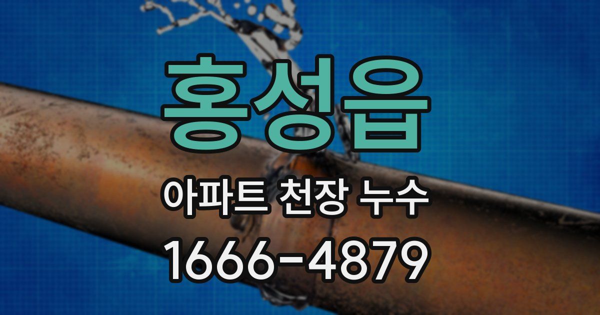 홍성읍 아파트 천장 누수