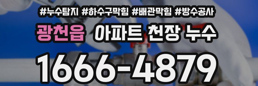 광천읍 아파트 천장 누수