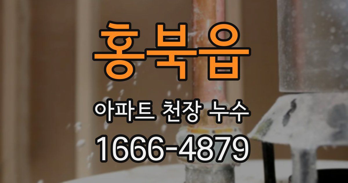 홍북읍 아파트 천장 누수