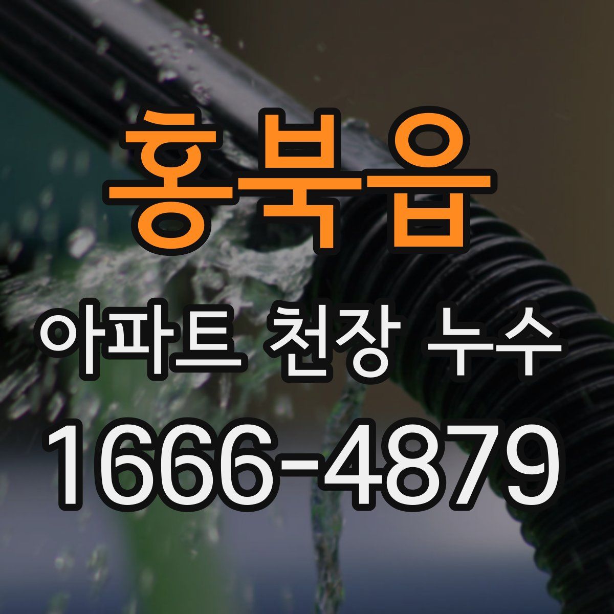 홍북읍 아파트 천장 누수