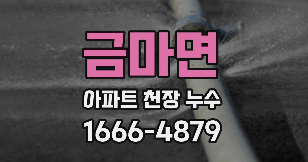 금마면 아파트 천장 누수