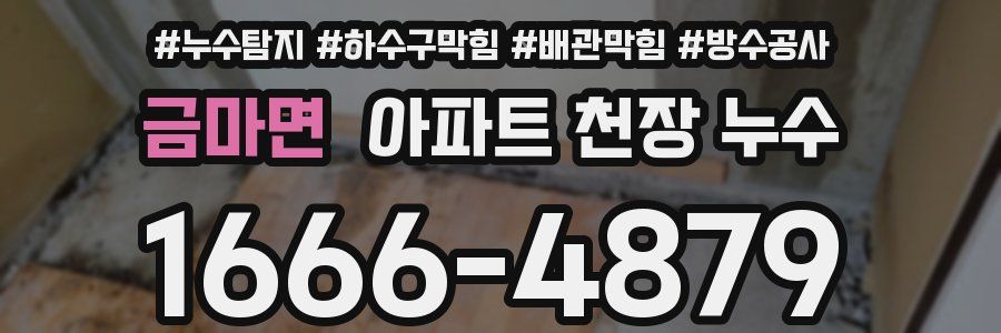 금마면 아파트 천장 누수
