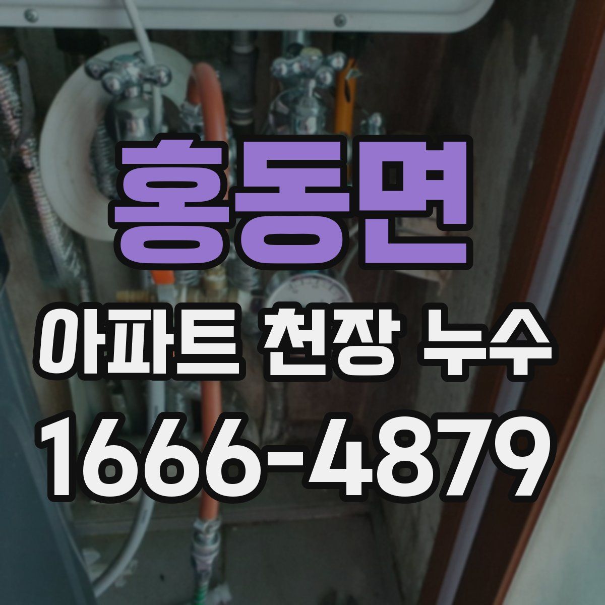 홍동면 아파트 천장 누수