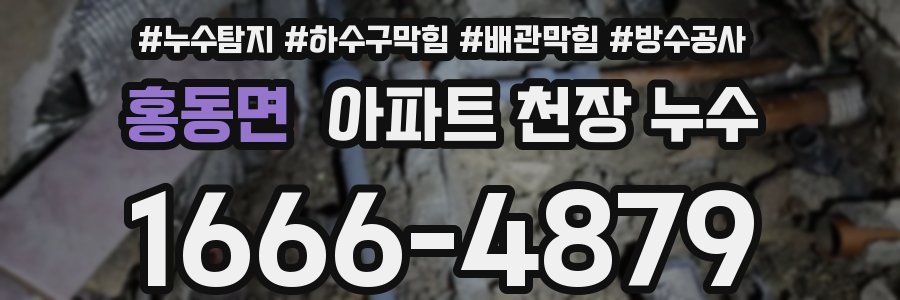 홍동면 아파트 천장 누수