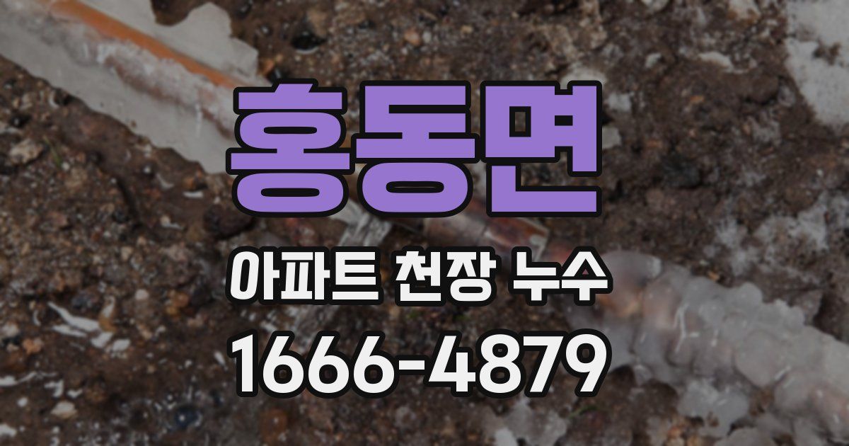 홍동면 아파트 천장 누수