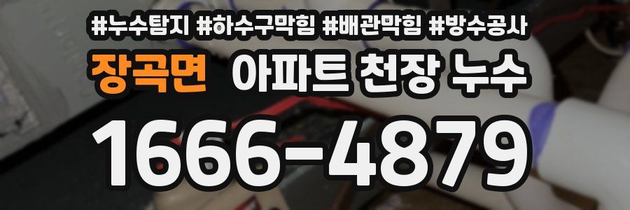 장곡면 아파트 천장 누수