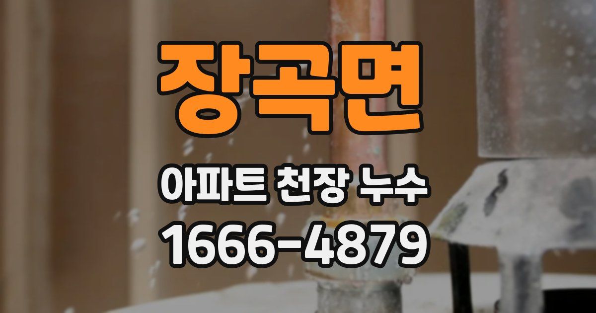 장곡면 아파트 천장 누수