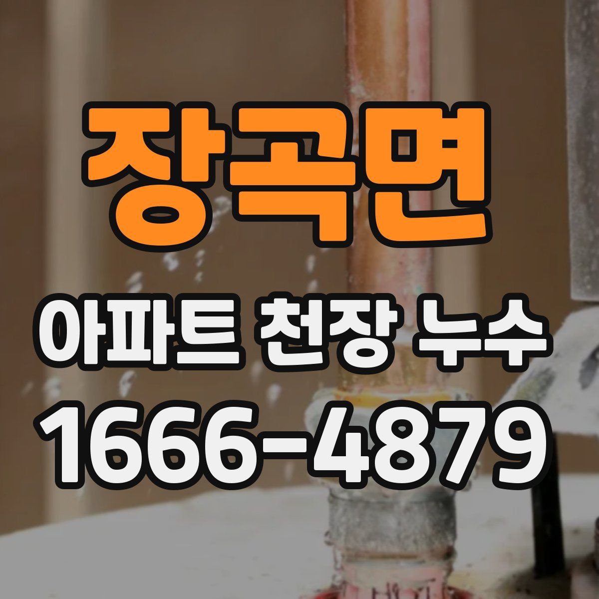 장곡면 아파트 천장 누수