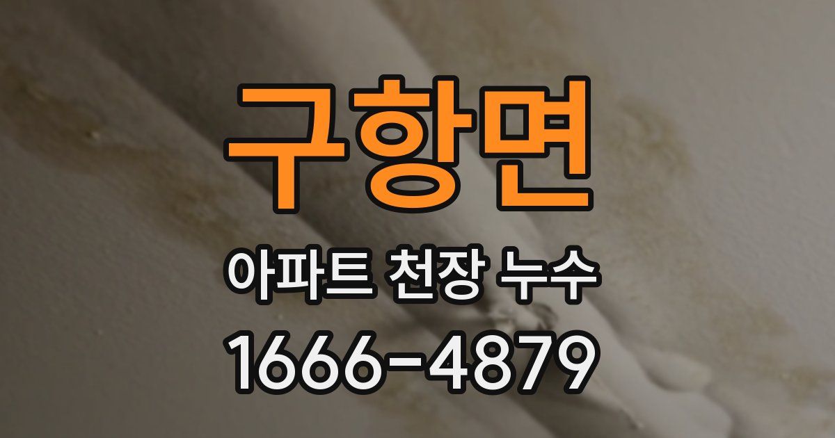 구항면 아파트 천장 누수