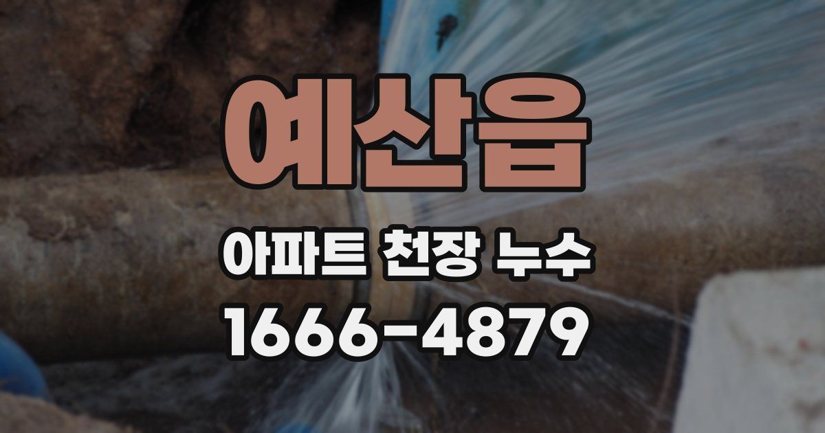 예산읍 아파트 천장 누수