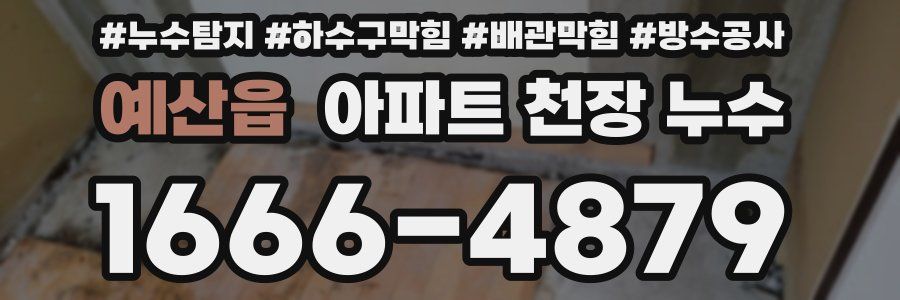 예산읍 아파트 천장 누수